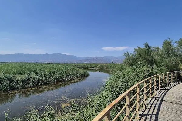 Aşağı Dip Gölü Doğa Parkı - Lac à Aydın - Resim 7