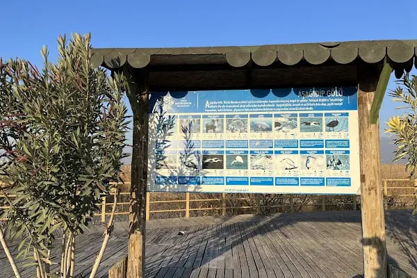 Aşağı Dip Gölü Doğa Parkı - Lac à Aydın - Resim 14