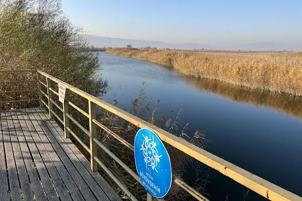 Aşağı Dip Gölü Doğa Parkı - Lac à Aydın - Resim 10