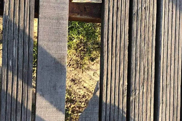 Aşağı Dip Gölü Doğa Parkı - Lac à Aydın - Resim 20