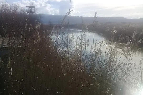 Aşağı Dip Gölü Doğa Parkı - Lac à Aydın - Resim 17