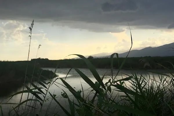 Aşağı Dip Gölü Doğa Parkı - Lac à Aydın - Resim 9