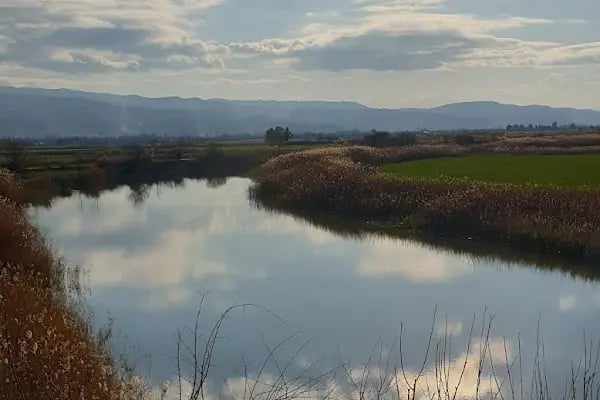 Aşağı Dip Gölü Doğa Parkı - Lac à Aydın - Resim 2