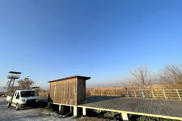 Aşağı Dip Gölü Doğa Parkı - Lac à Aydın - Resim 8