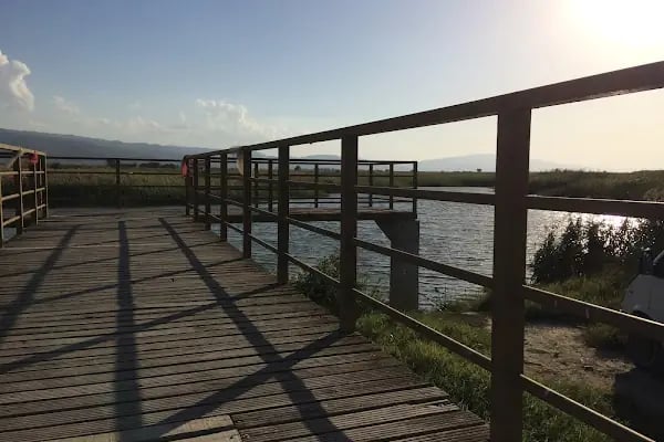 Aşağı Dip Gölü Doğa Parkı - Lac à Aydın - Resim 5