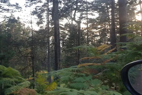 İpek Yolu Karavan Park - Resim 16