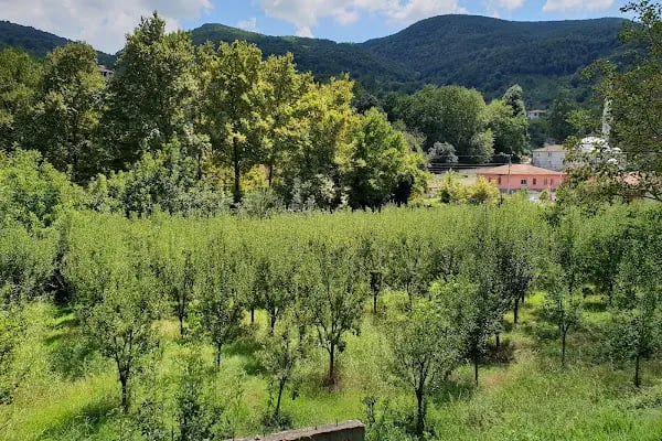 İpek Yolu Karavan Park - Resim 2