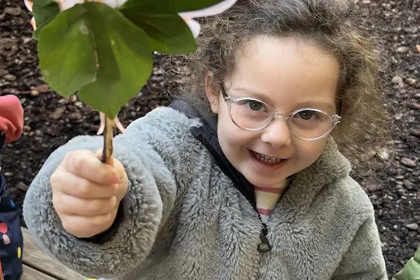 Hayat Ağacı Montessori Anaokulu - Resim 5