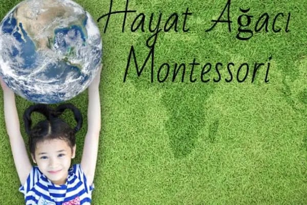Hayat Ağacı Montessori Anaokulu - Resim 10