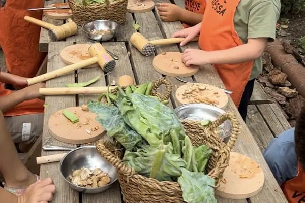 Hayat Ağacı Montessori Anaokulu - Resim 8