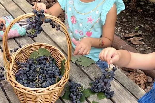 Hayat Ağacı Montessori Anaokulu - Resim 12