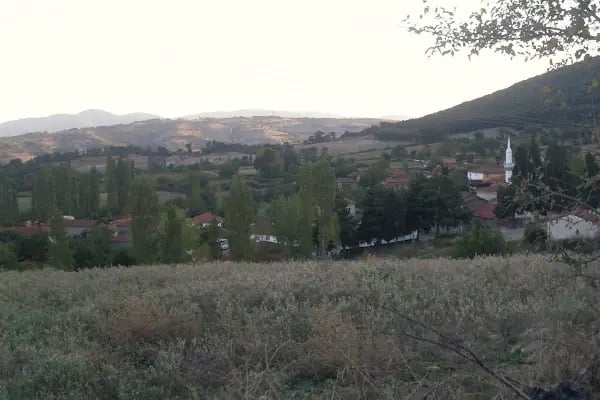 Akçapınar Köyü Muhtarlığı - Resim 3