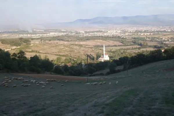 Akçapınar Köyü Muhtarlığı - Resim 6