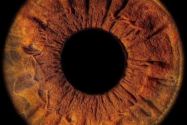 Alya fotoğrafçılık - Resim 10