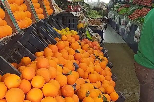 Özkarakoçlar Manavı - Resim 19