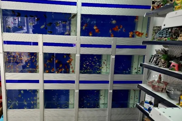 Mamatalya Pet Shop - Resim 11