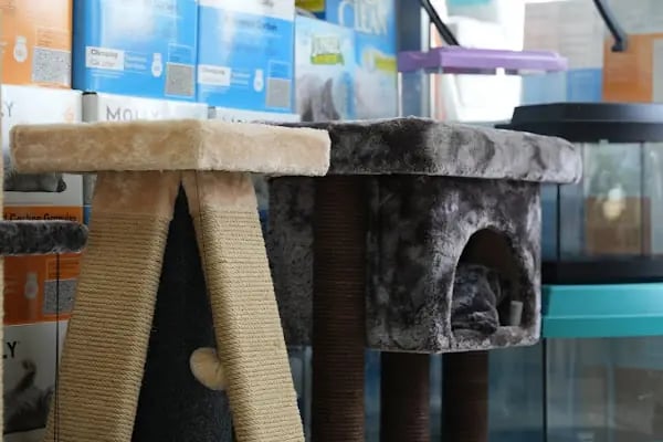 Mamatalya Pet Shop - Resim 5