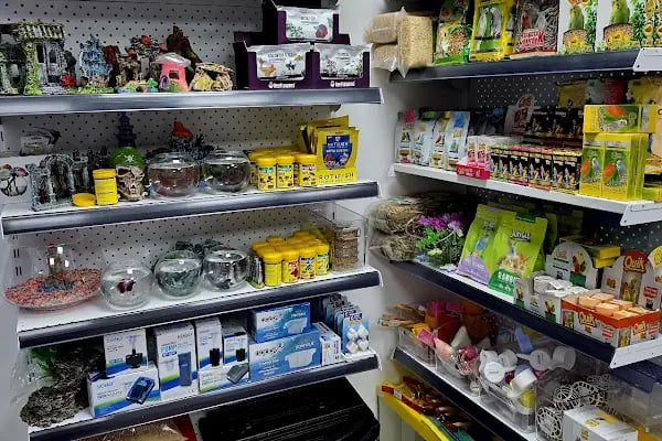 Mamatalya Pet Shop - Resim 6