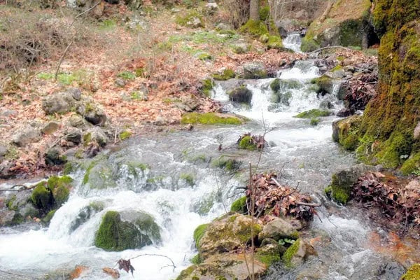 Kunduracı Çınarı Tabiat Anıtı - Resim 19