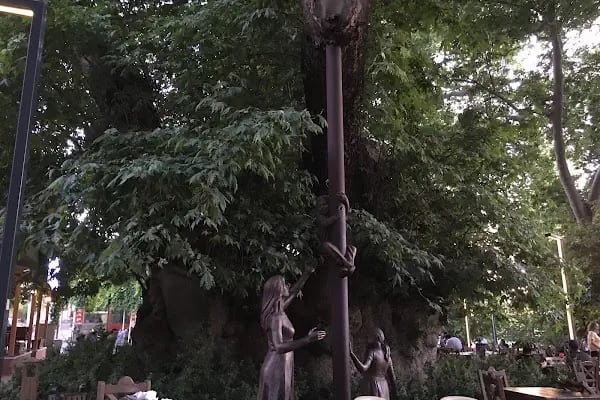 Kunduracı Çınarı Tabiat Anıtı - Resim 13