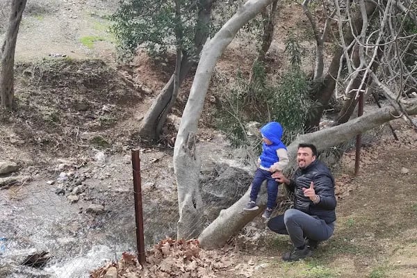 Kunduracı Çınarı Tabiat Anıtı - Resim 12