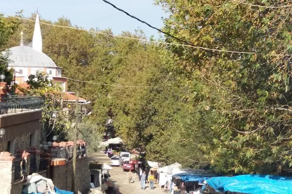 Kunduracı Çınarı Tabiat Anıtı - Resim 8