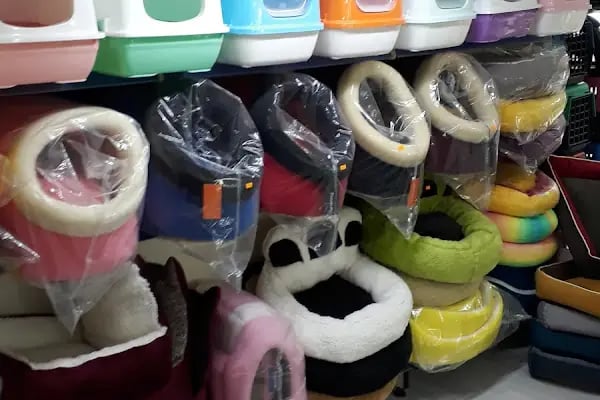 Asya Petshop - Resim 4
