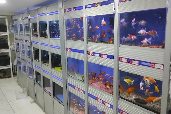 Asya Petshop - Resim 5