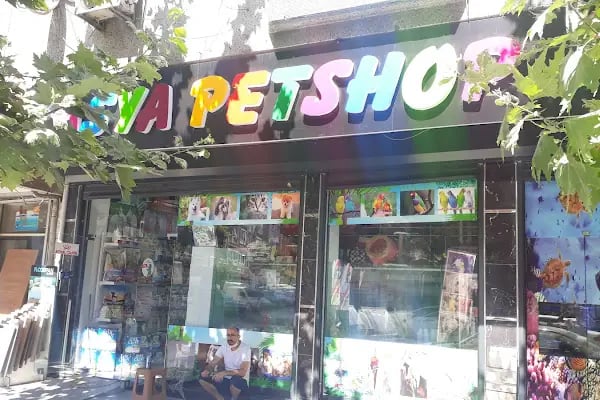 Asya Petshop - Resim 1