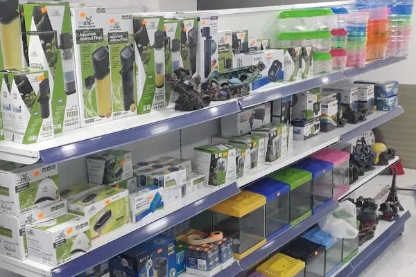 Asya Petshop - Resim 2