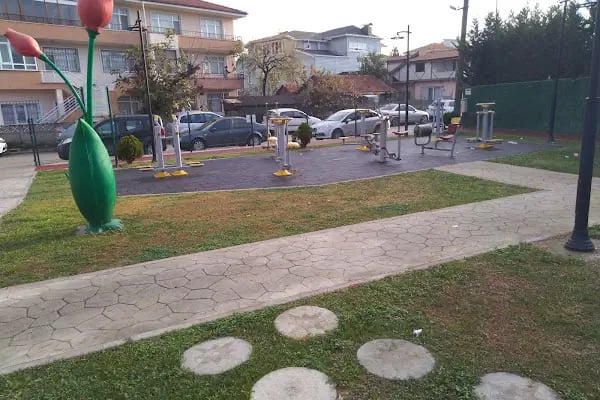 Adapazarı Belediyesi Çocuk oyun parkı - Resim 6