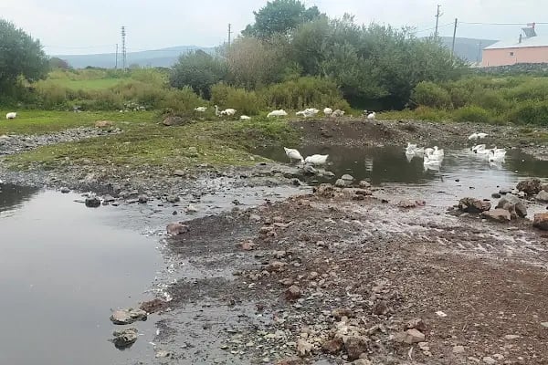 Akyaka Godisgara köyü - Resim 2