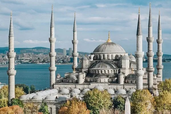 Alanya Emlakçı Kavi Real Estate Tourism - Resim 2