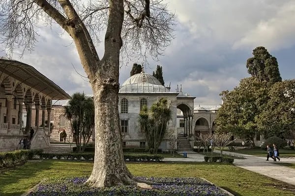 Alanya Emlakçı Kavi Real Estate Tourism - Resim 6