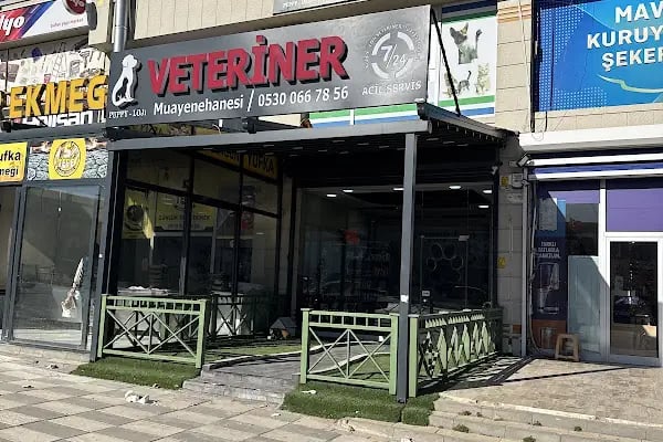 Puppyloji Veteriner kliniği - Resim 5