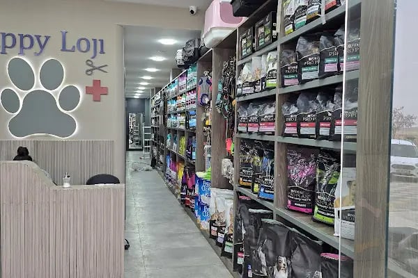 Puppyloji Veteriner kliniği - Resim 3