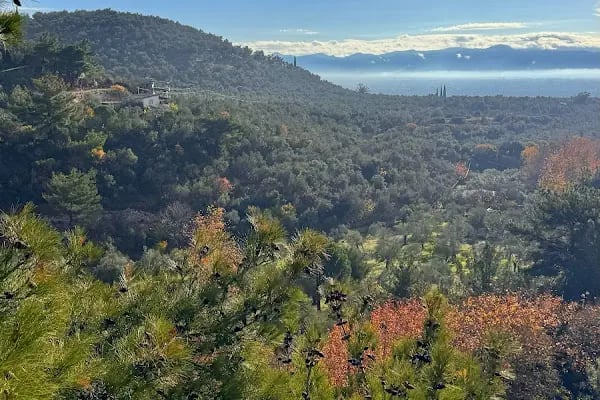 Antik Vadi Bungalov Otel Kazdağları - Resim 8