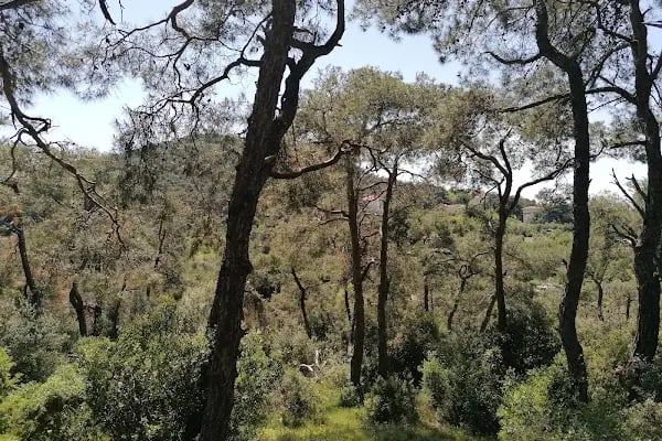 Comunità sant'Antonio, suore Francescane del Sacro Cuore - Resim 7