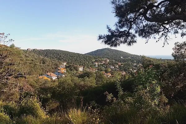Comunità sant'Antonio, suore Francescane del Sacro Cuore - Resim 14
