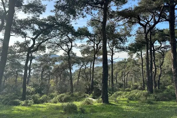 Comunità sant'Antonio, suore Francescane del Sacro Cuore - Resim 8
