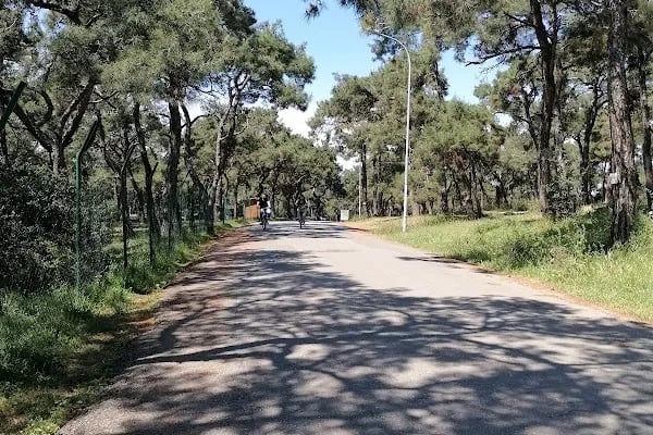 Comunità sant'Antonio, suore Francescane del Sacro Cuore - Resim 12