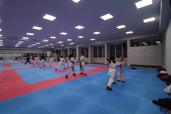Akçaabat Belediyesi Spor Eğitim Merkezi - Resim 11