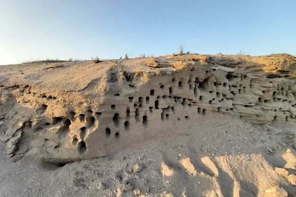 Karataş Harb-İş Plajı - Resim 17