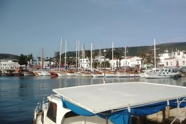 Bodrum Express Lines - Resim 18