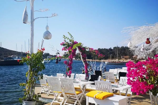 Bodrum Express Lines - Resim 15