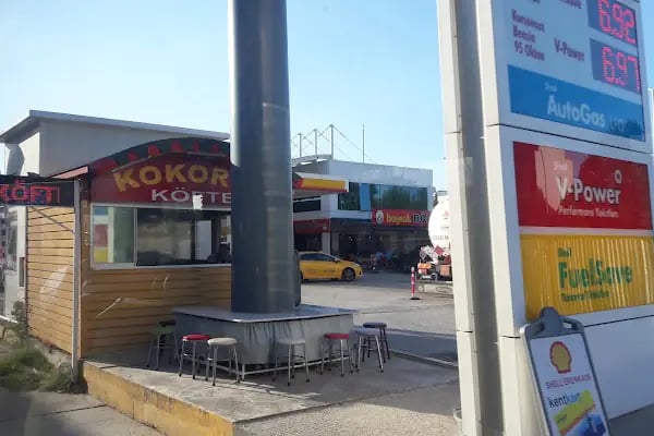 Shell Erenkaya - Resim 17