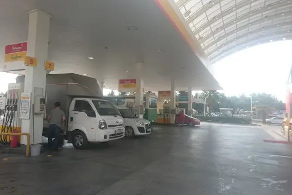 Shell Erenkaya - Resim 11