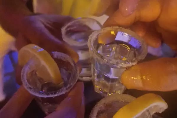 Öküz izmit - Resim 18