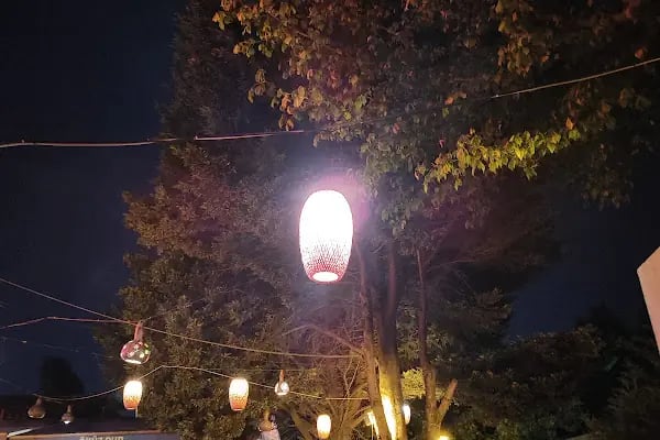 Öküz izmit - Resim 14
