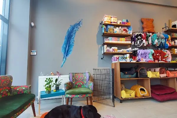 Neige Pet Shop ve Pet Kuaför - Resim 14